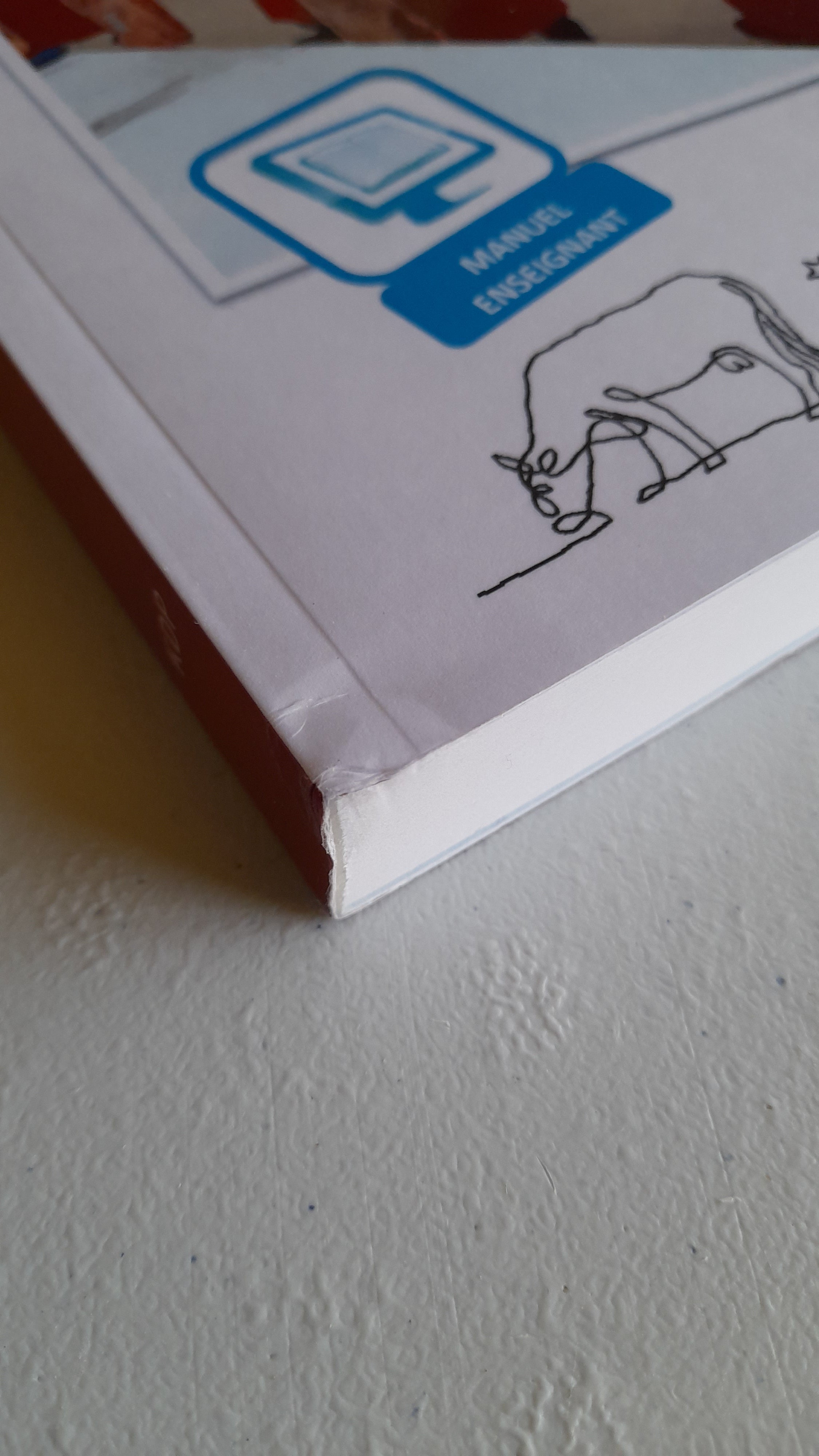 Le livre du boucher Version prof